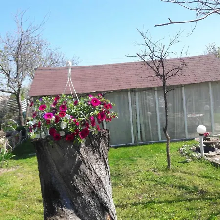 Vila Kapri Guest house *